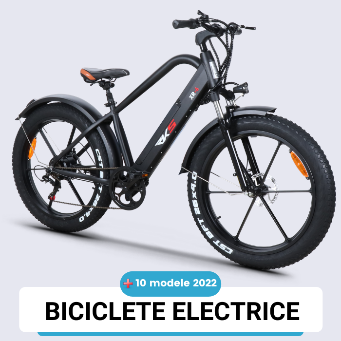 Biciclete Electrice Adulti